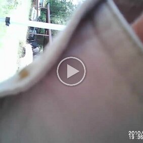 Video - Alberts Says Howdy null