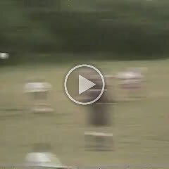 Video - Combination Deadly null