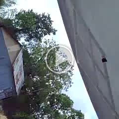Video - Sharon 11:24 and 19:44 null