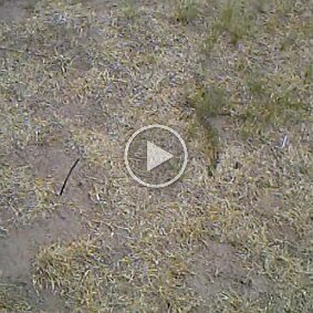 Video - Judy Born to kill null