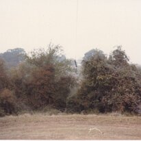 indianGuides_002