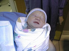 PIC00005 null
