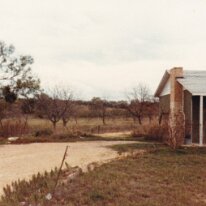 PeacanFarm_004