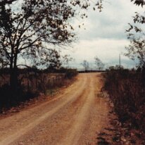 PeacanFarm_006