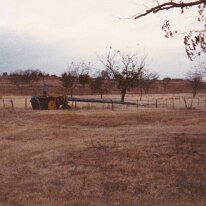 PeacanFarm_013