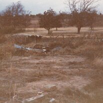 PeacanFarm_014