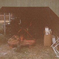 PeacanFarm_015