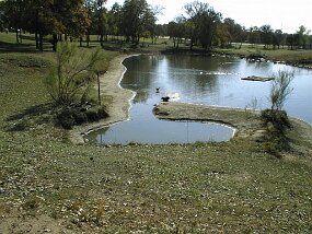 pond97b null