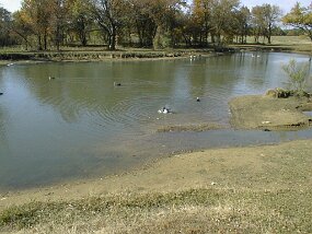 pond97c null