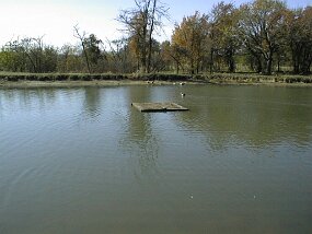 pond97d null