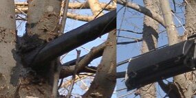 DIY Telephone Repair vs Pro Repair null
