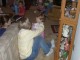Thumbs/tn_03110049.jpg