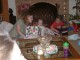 Thumbs/tn_03110095.jpg
