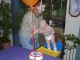 Thumbs/tn_03110122.jpg